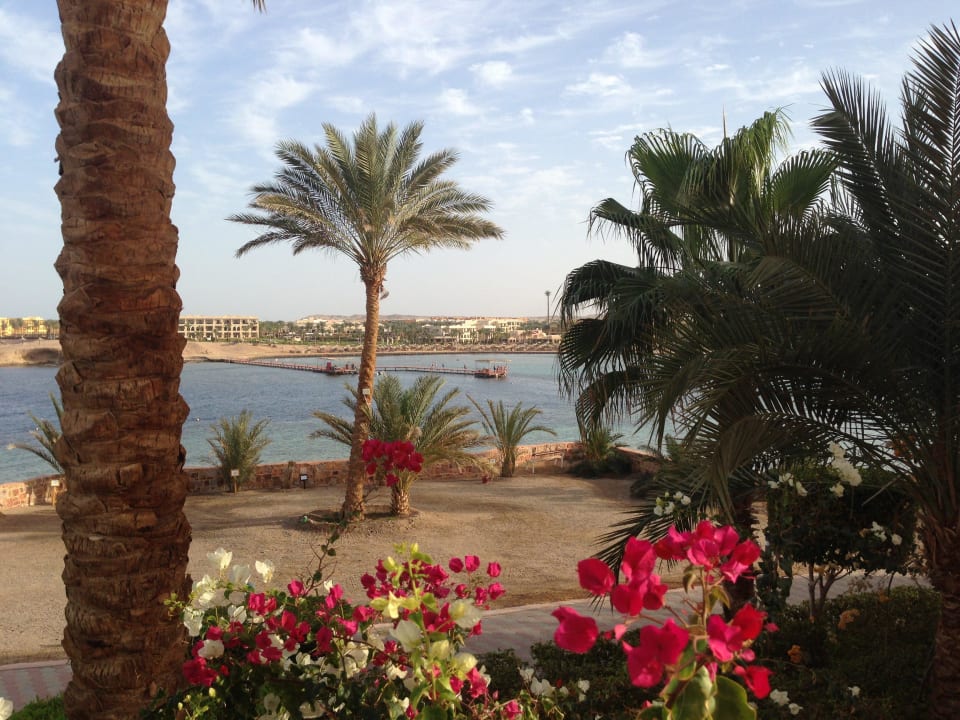 Aussicht auf die Bucht Steigenberger Coraya Beach - Adults only