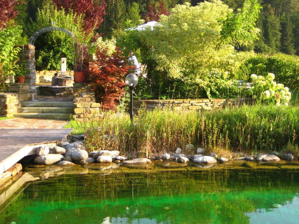 Schwimmteich Hotel Vitaloase zu den drei Brüdern
