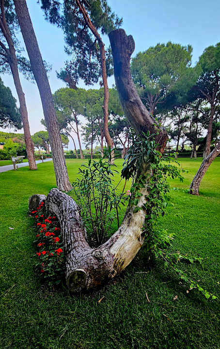 Gartenanlage Xanadu Resort Hotel