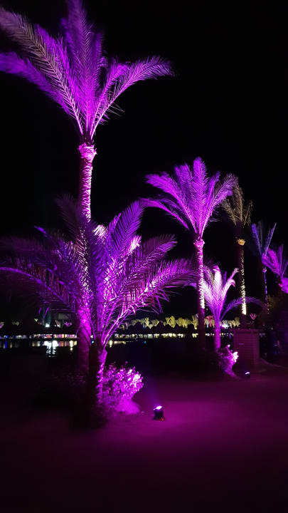 Sport & Feizeit Steigenberger Coraya Beach - Adults only