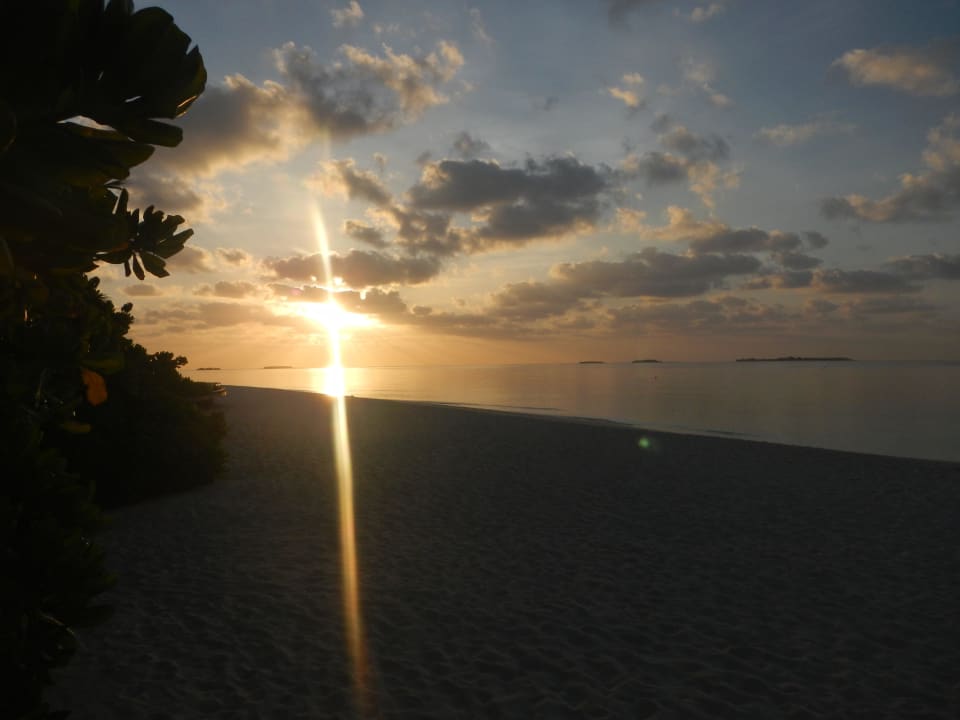 Sonnenaufgang am Strand Kuredu Island Resort & Spa