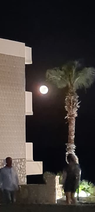 Ausblick Hotel Kalithea Horizon Royal