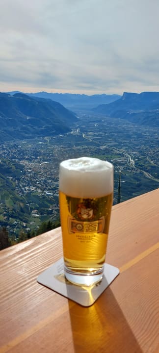 Ausblick Hotel Alpenhof
