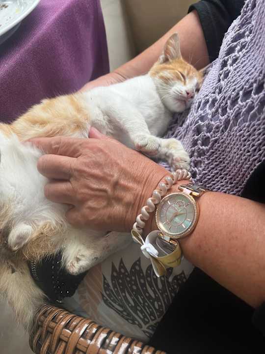 Sonstiges Mary Hotel Side