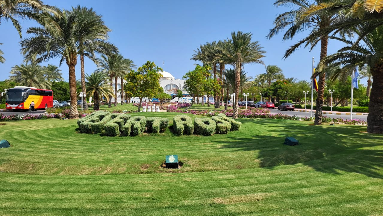 Gartenanlage Desert Rose