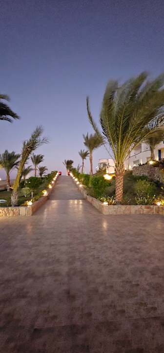 Gartenanlage Coral Sun Beach