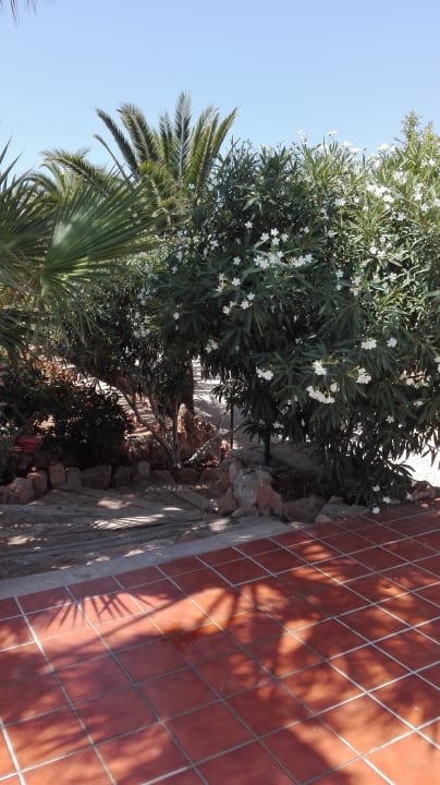 Gartenanlage Finca Son Guardiola