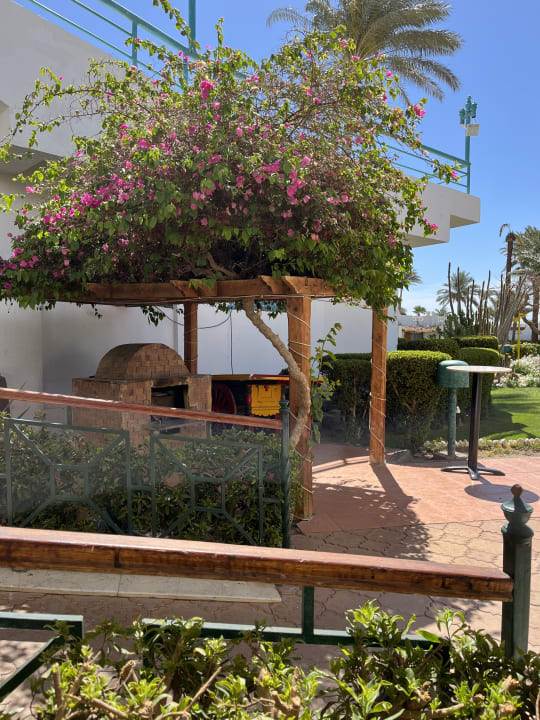 Gartenanlage Shams Safaga Resort