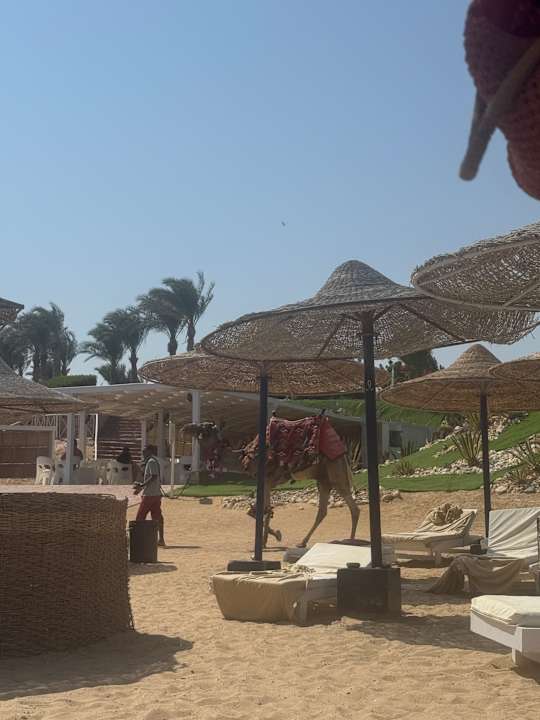 Strand Sirena Beach Resort & Spa