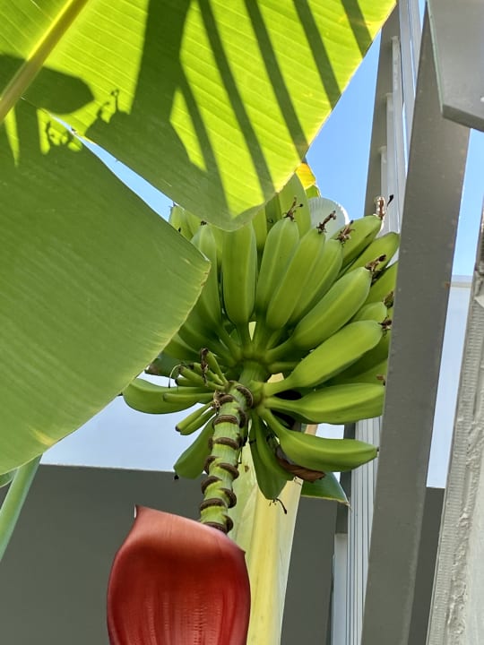 Außenansicht Paloma Finesse