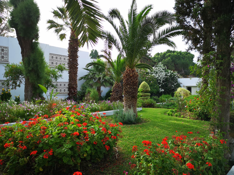 Garten The Orangers Beach Resort and Bungalows