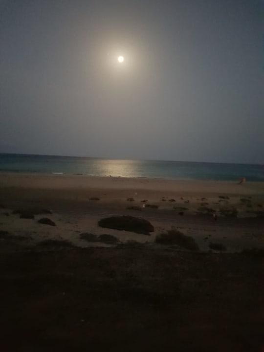 Strand Iberostar Waves Gaviotas Park