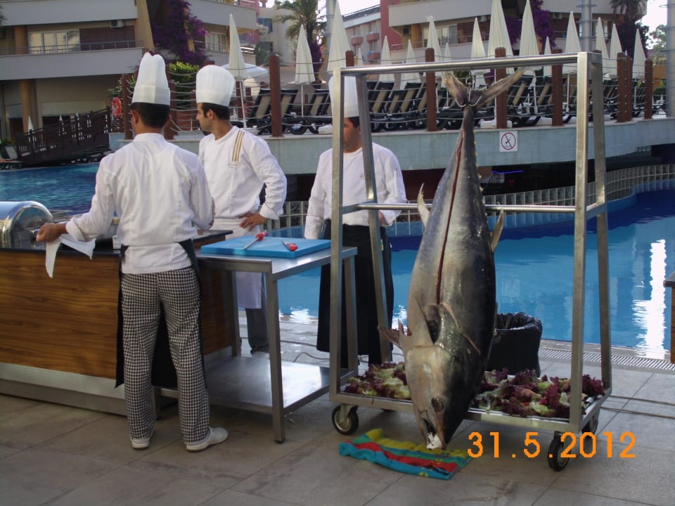 Lecker Thunfisch Alaiye Resort & Spa