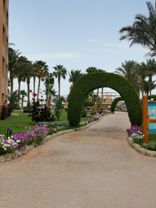 Gartenanlage Continental Hotel Hurghada