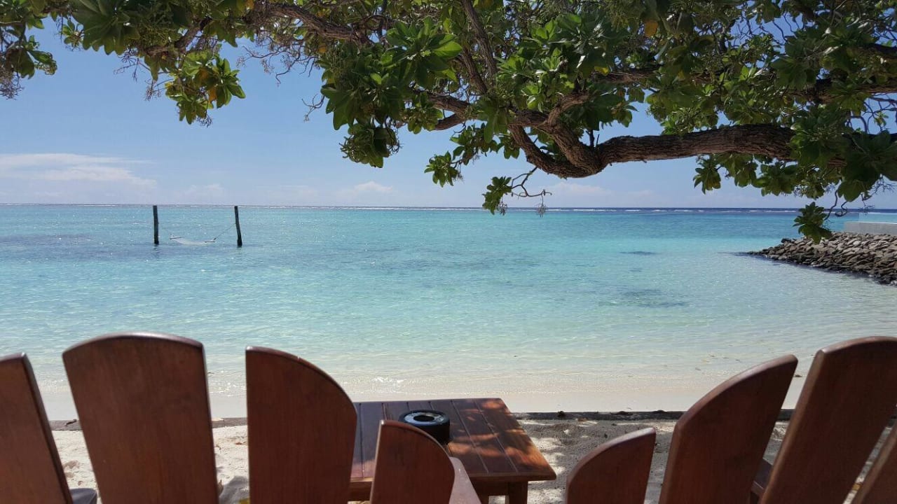 Bar Summer Island Maldives