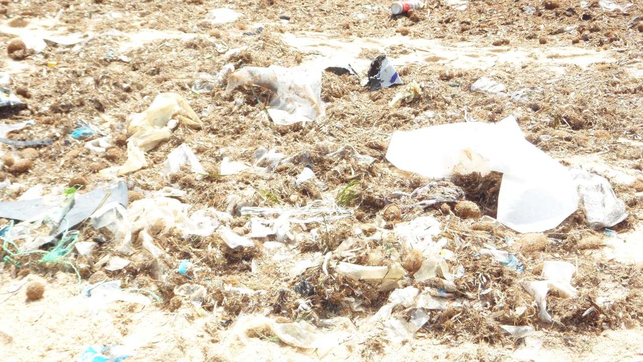 So sah Strand nach dem Sturm Juli 2013 Medina Solaria & Thalasso