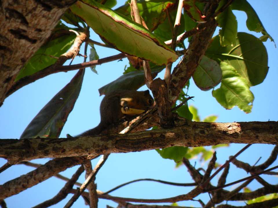 Gartenanlage The Laguna A Luxury Collection Resort & Spa