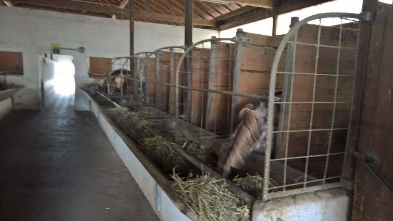 Pferdestall ULRICHSHOF Nature · Family · Design