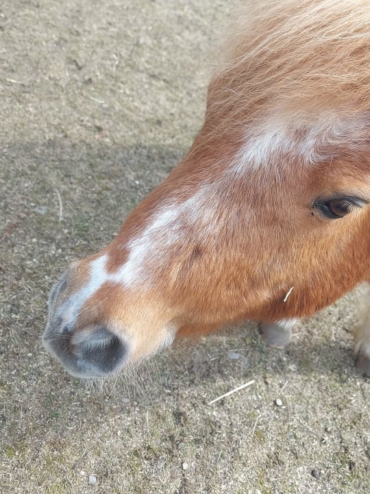 Sport & Freizeit Alphotel Tyrol