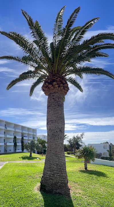 Gartenanlage allsun App.-Hotel Esquinzo Beach