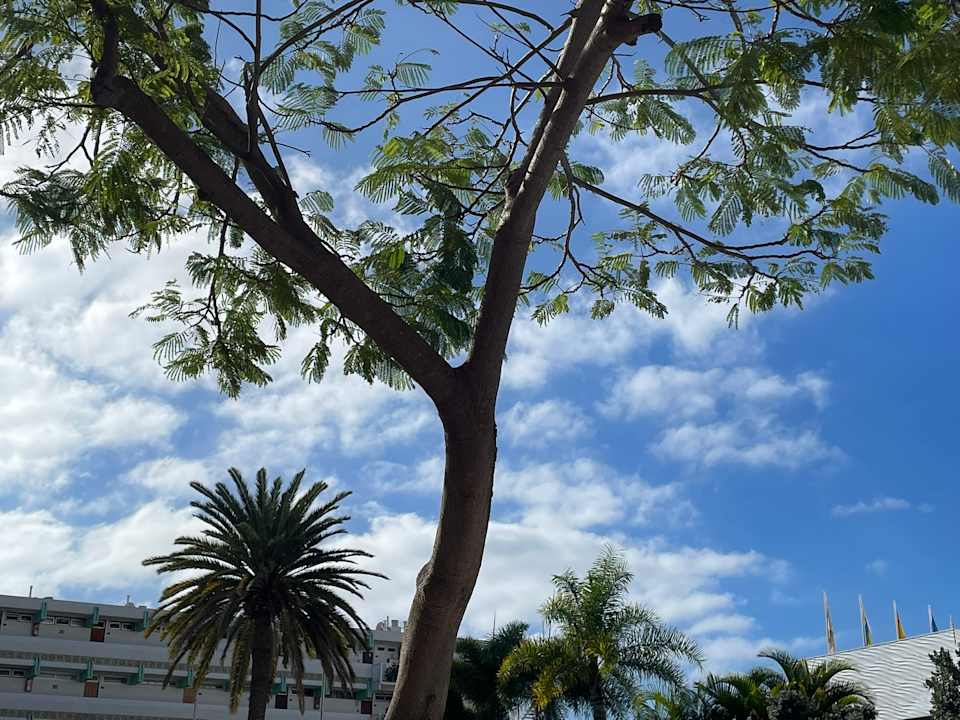 Pool Bull Escorial & Spa