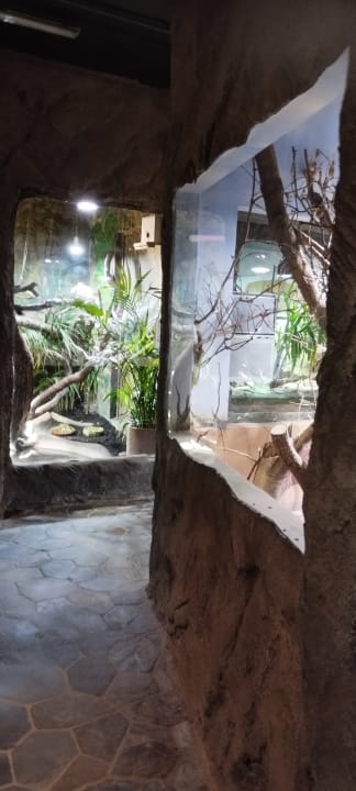 Sport & Freizeit Ferienwohnungen Ferienpark Weissenhäuser Strand