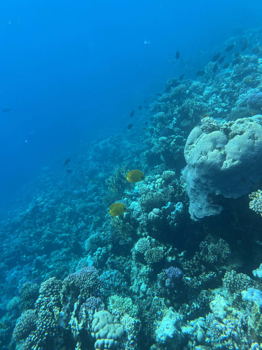 Strand Makadi Spa - Adults only