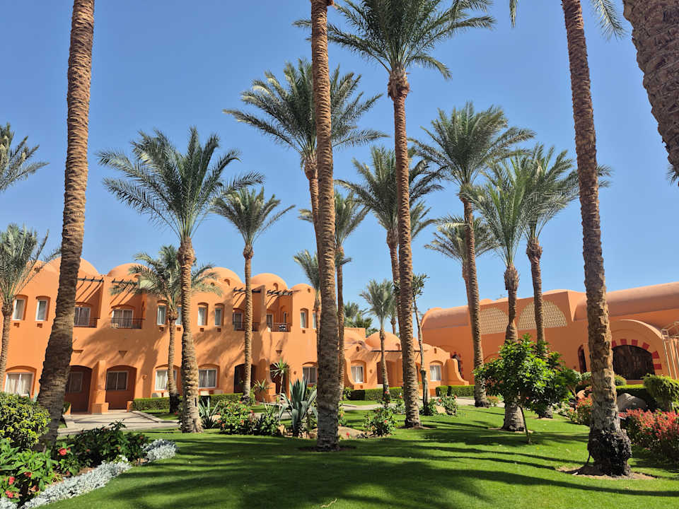 Gartenanlage Jaz Makadi Oasis Resort