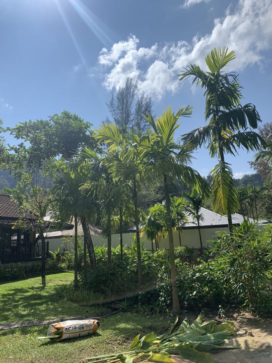 Gartenanlage Moracea by Khao Lak Resort