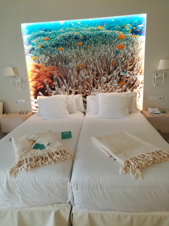 Zimmer Iberostar Selection Fuerteventura Palace