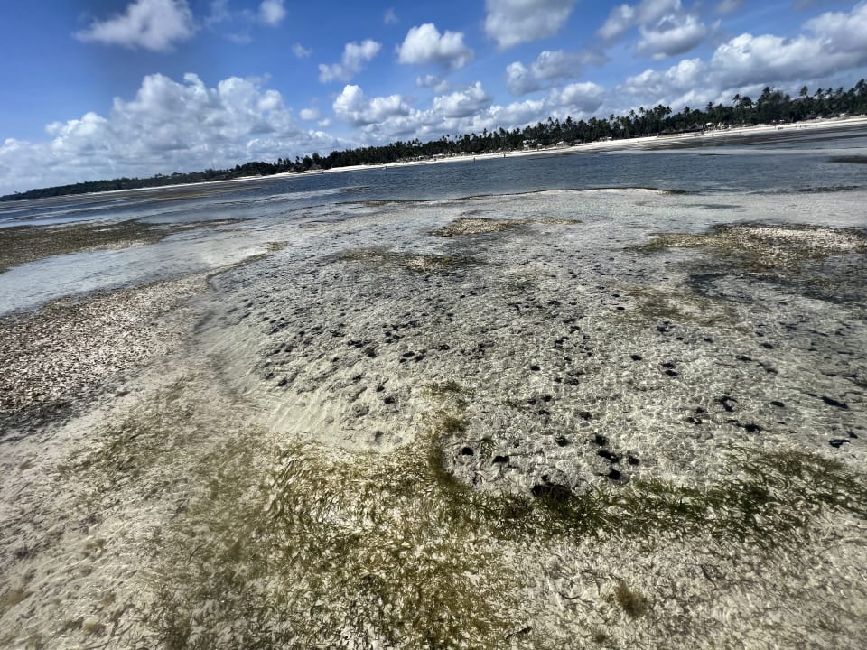 Strand Ocean Paradise Resort & Spa