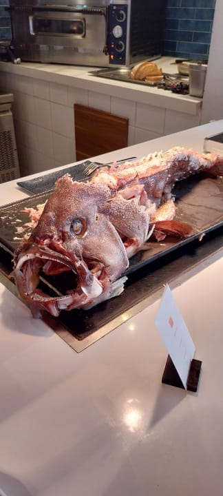 Gastro Paralos Lifestyle Beach