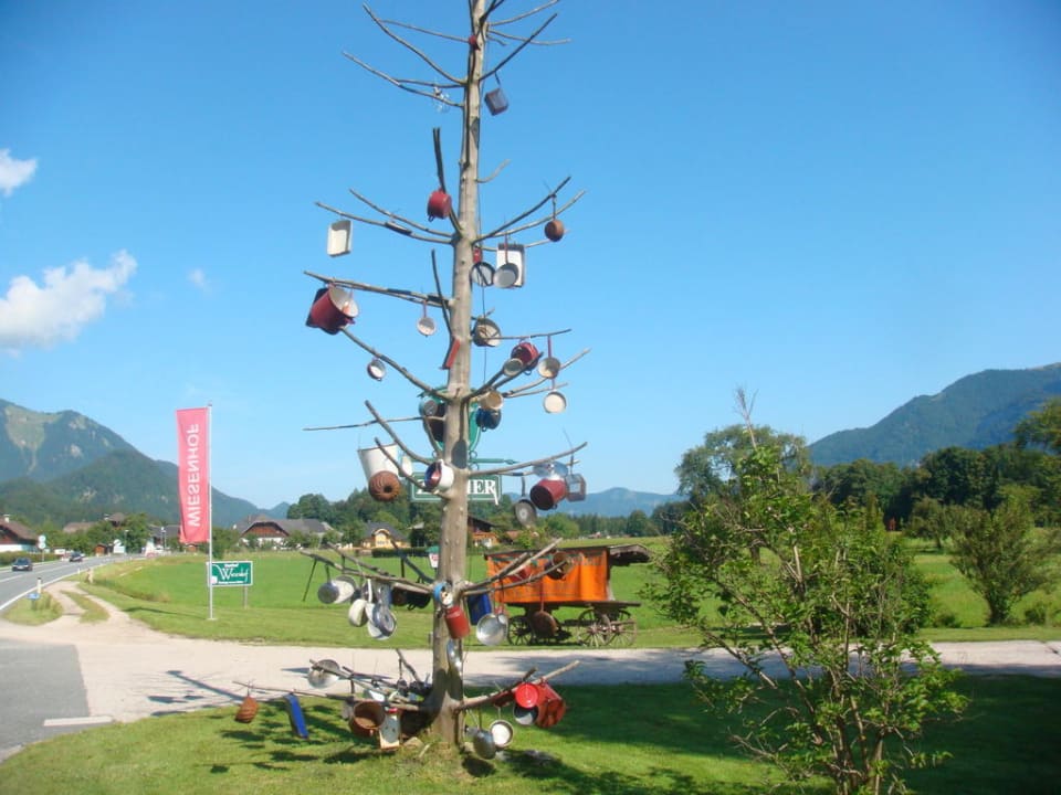 Oh Pfannenbaum, oh Pfannenbaum ... Gasthof Wiesenhof