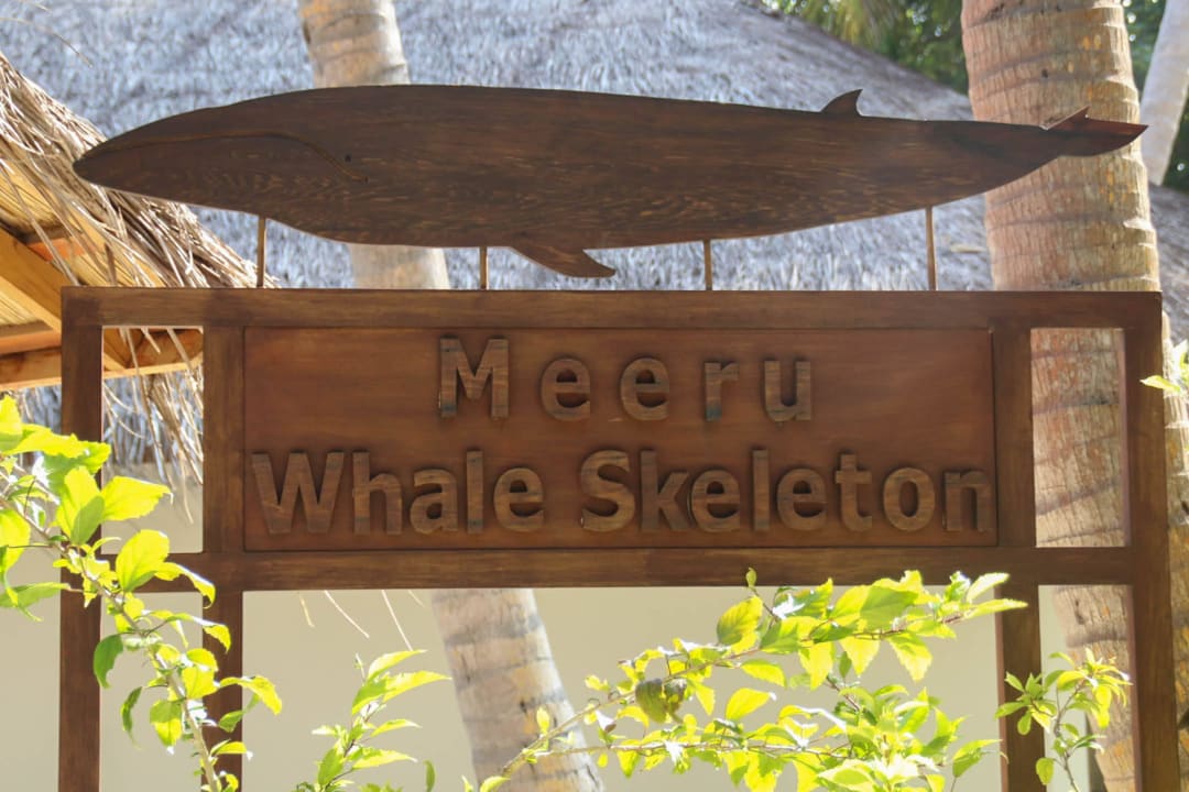 Meeru Museum Meeru Maldives Resort Island