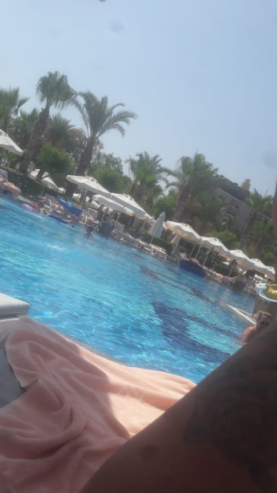 Pool Hotel Delphin Imperial