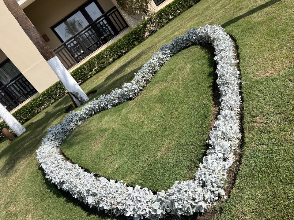 Gartenanlage Steigenberger Aqua Magic