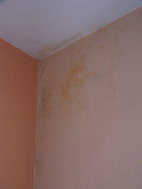 Schimmel St.Christophers London Greenwich