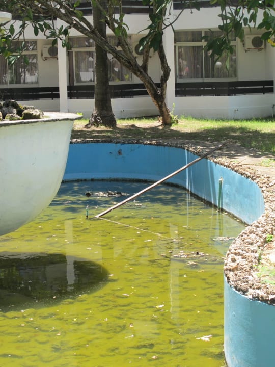 Moskitozucht Hotel Kenya Bay Beach