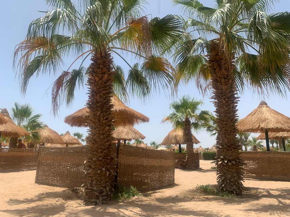 Strand Lotus Bay Beach Resort