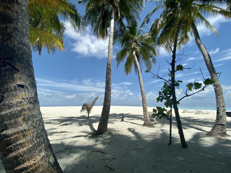 Strand Fihalhohi Maldives