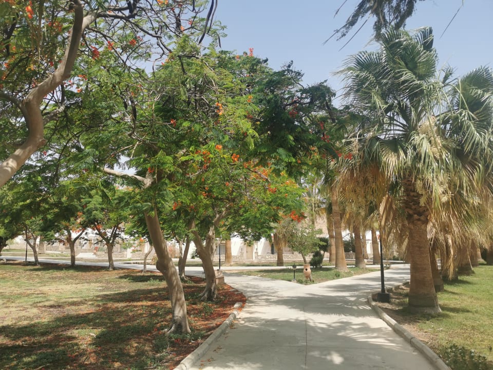 Gartenanlage Brayka Bay Resort