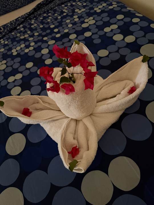 Zimmer Bliss Nada Beach Resort