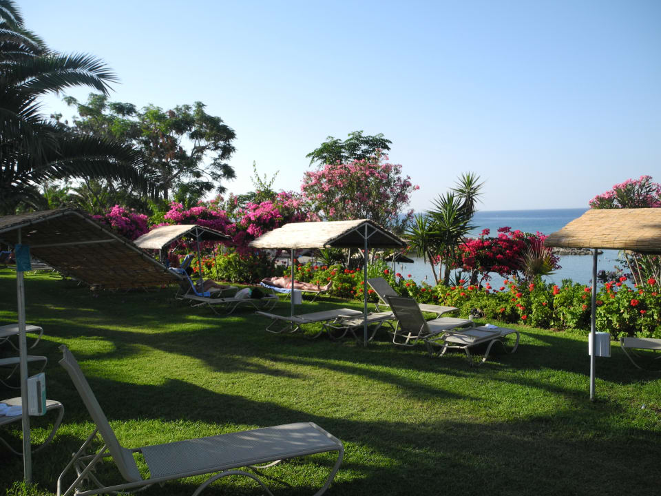 Gartenanlage Crystal Springs Beach Hotel
