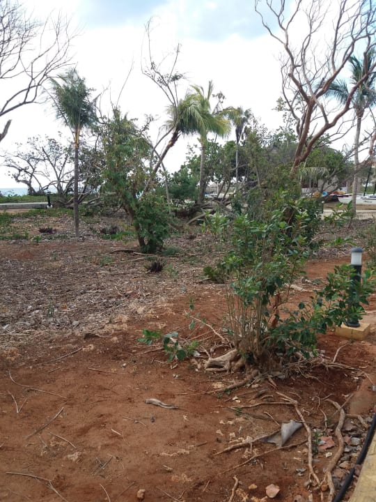 Außenansicht Sirenis Tropical Varadero