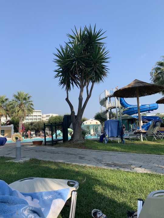 Pool TUI KIDS CLUB Alex Beach