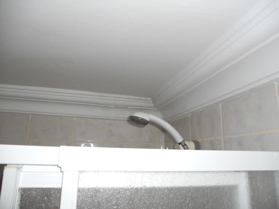 Schimmelspuren Club Turtas Beach Hotel