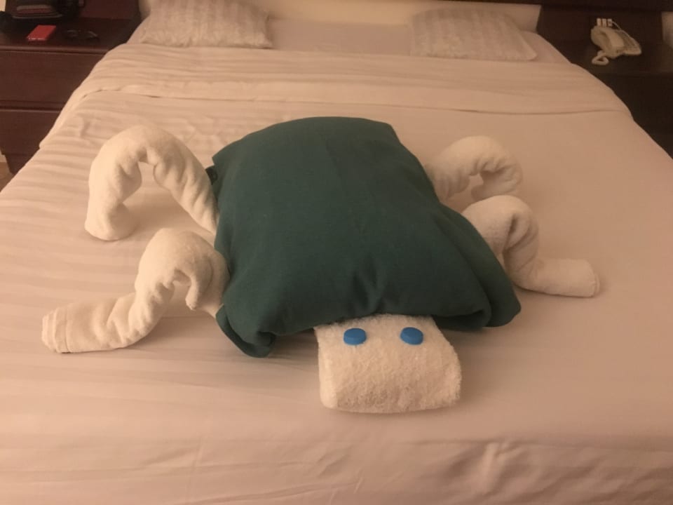 Zimmer Three Corners Equinox Beach Resort