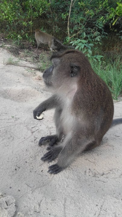 Strand Berjaya Langkawi Resort