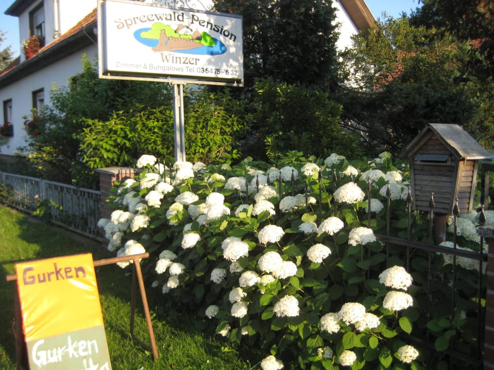 Eingangsbereich Spreewaldpension Winzer in Straupitz