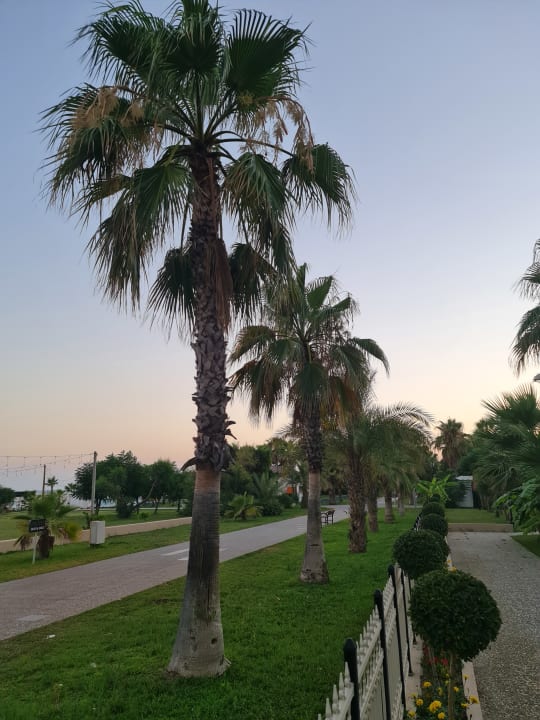 Gartenanlage Bella Resort & Spa